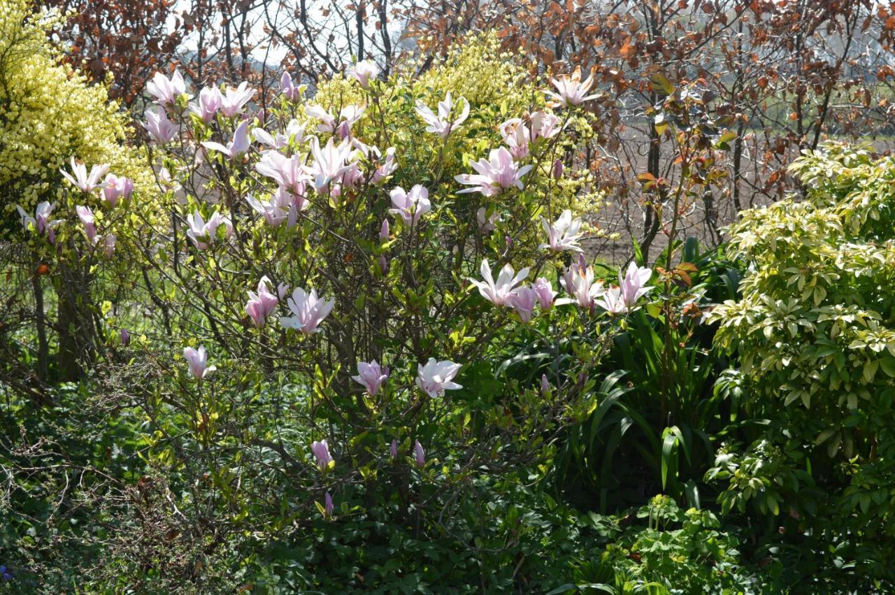 比尔克住宿加早餐旅馆 斯坦福桥 外观 照片